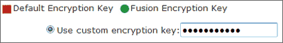 Image of security key entered into Use custom encryption key field
