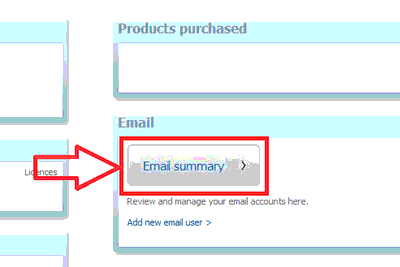 Screenshot showing email summary button