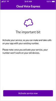Screenshot of a screen titled the important bit on the Cloud Voice Express app