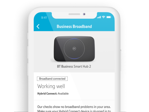 BT Business app screenshot showing checking things are working page