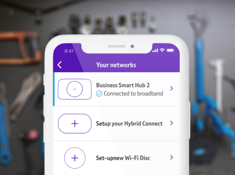 BT Business app screenshot showing Your networks page
