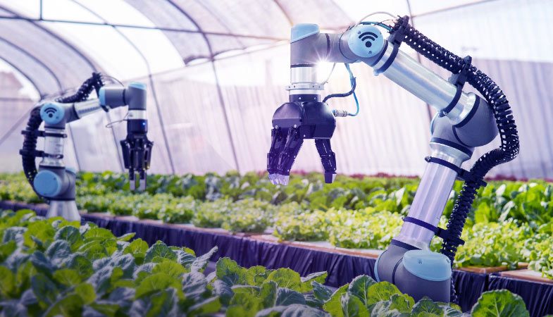 Image of robot tending to plants