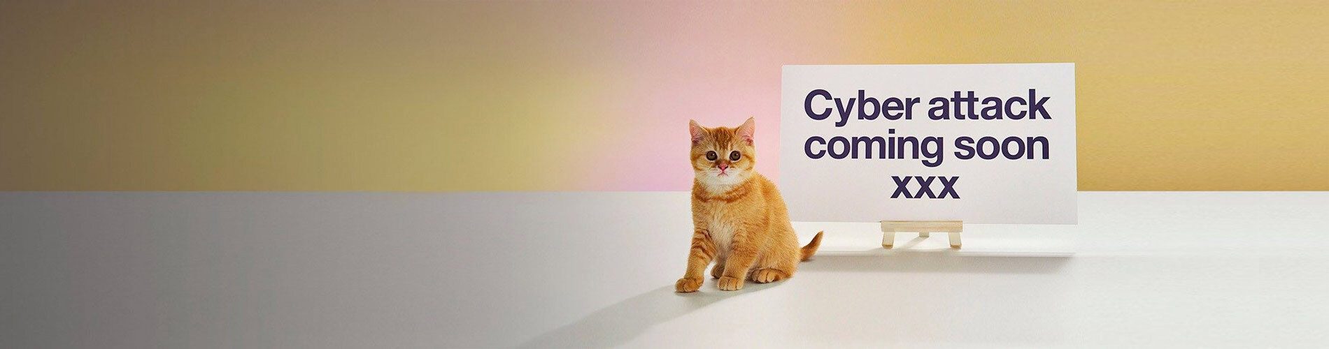 Kitten sitting by 'Cyber attack coming soon xxx' sign